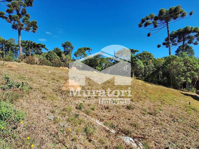 #2642 - Terreno em condomínio para Venda em Campos do Jordão - SP