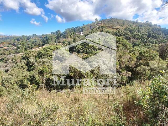 #2645 - Terreno em condomínio para Venda em Campos do Jordão - SP