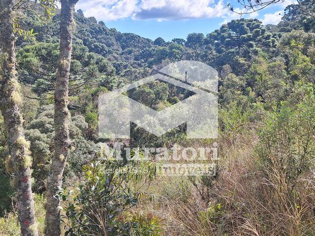 Terreno em condomínio para Venda em Campos do Jordão - 4