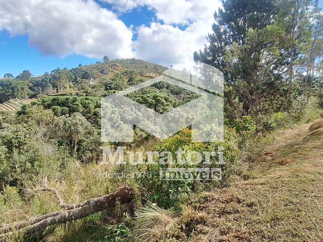 Terreno em condomínio para Venda em Campos do Jordão - 5