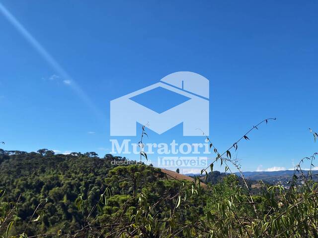 #2654 - Terreno em condomínio para Venda em Campos do Jordão - SP