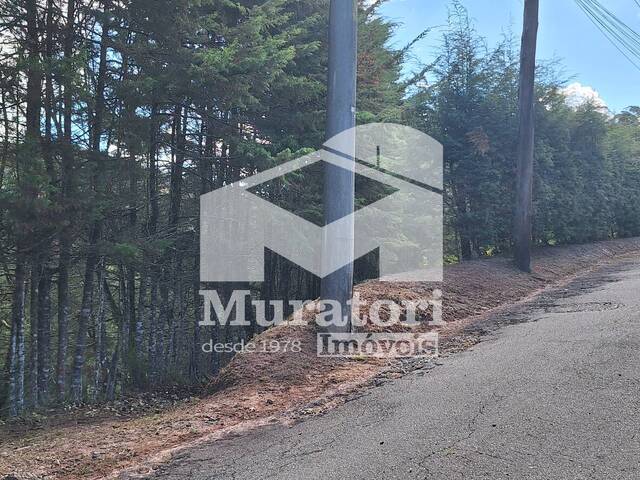 #2656 - Terreno em condomínio para Venda em Campos do Jordão - SP