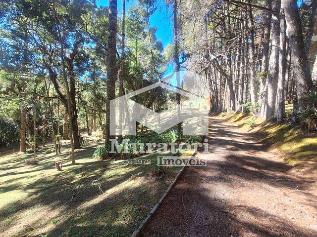 #2226 - Terreno para Venda em Campos do Jordão - SP
