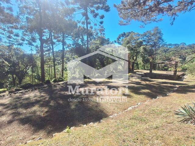 Terreno para Venda em Campos do Jordão - 4