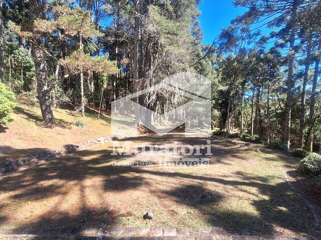 Terreno para Venda em Campos do Jordão - 5