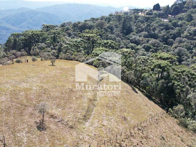 Área para Venda em Campos do Jordão - 5