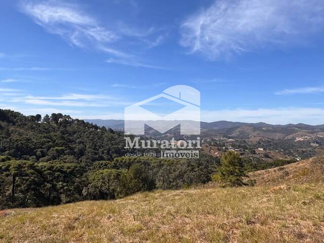 #2660 - Área para Venda em Campos do Jordão - SP