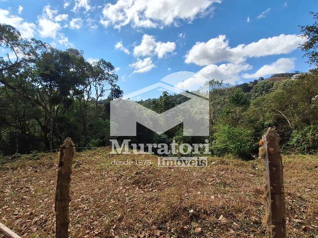 #2665 - Área para Venda em Campos do Jordão - SP