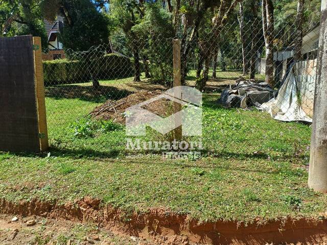 Terreno para Venda em Campos do Jordão - 5