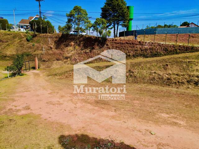 Terreno para Venda em Campos do Jordão - 4