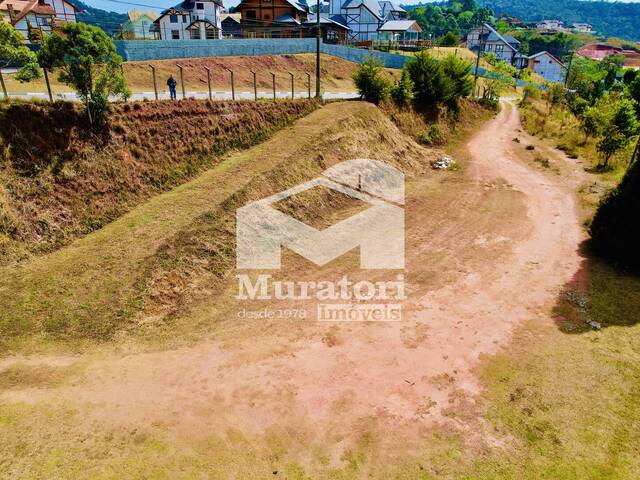 Terreno para Venda em Campos do Jordão - 5