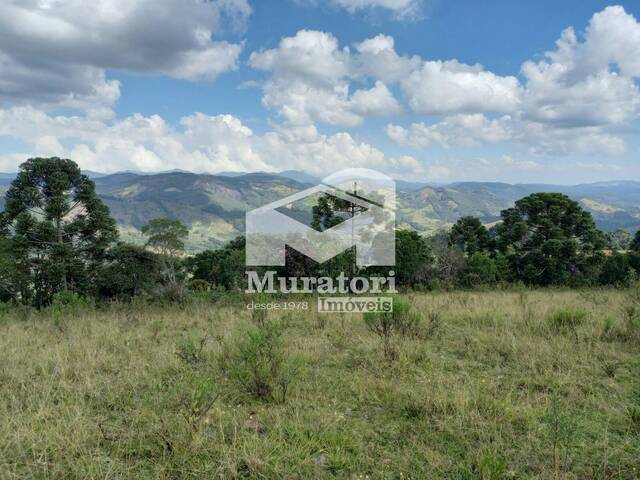 #2671 - Chácara para Venda em Gonçalves - MG