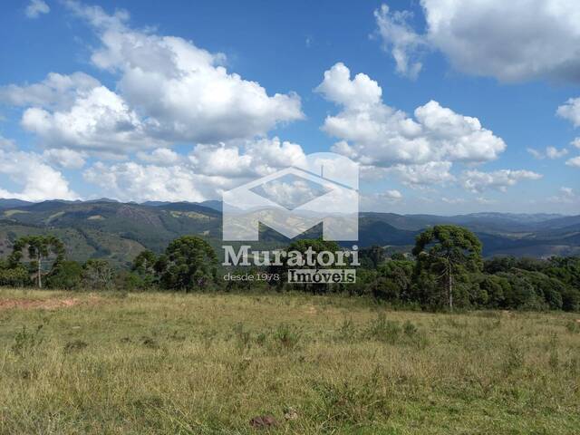 Chácara para Venda em Gonçalves - 4