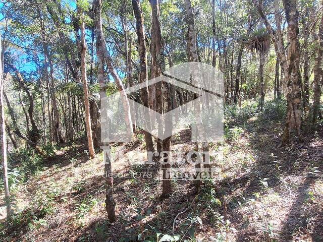 Terreno para Venda em Campos do Jordão - 4