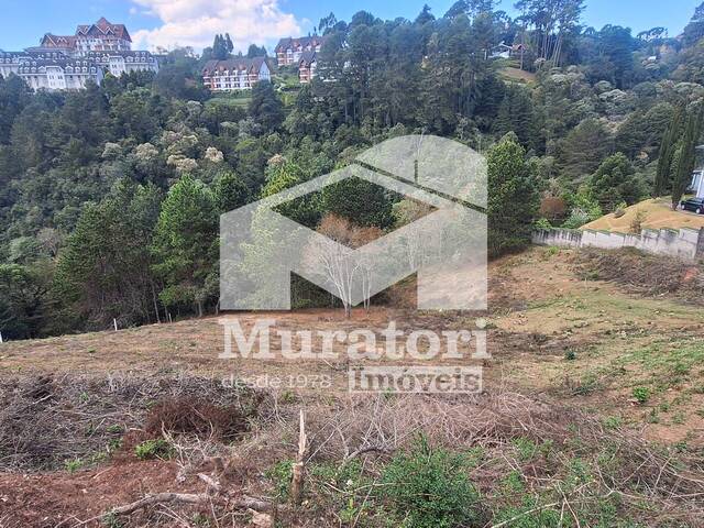 Terreno para Venda em Campos do Jordão - 5