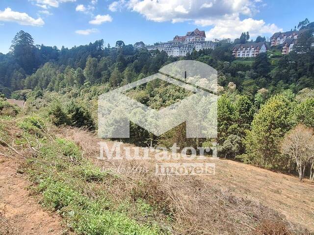 #2670 - Terreno para Venda em Campos do Jordão - SP