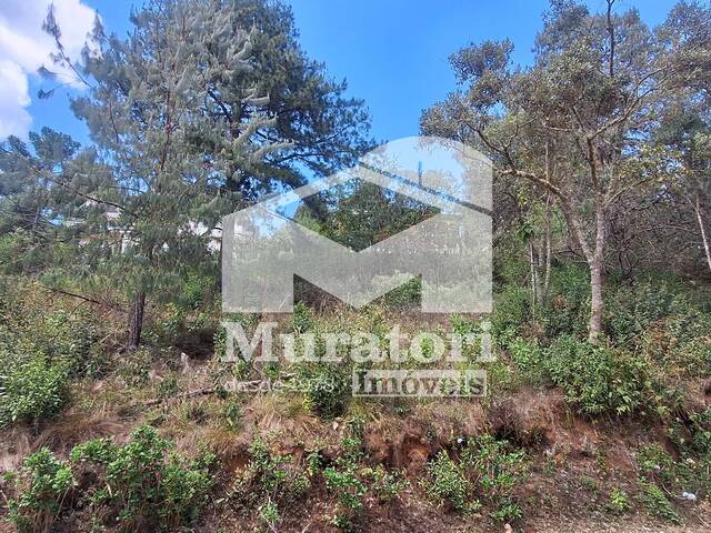Terreno para Venda em Campos do Jordão - 4