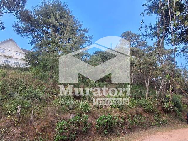 Terreno para Venda em Campos do Jordão - 5