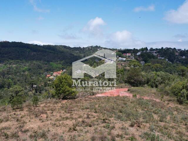 Área para Venda em Campos do Jordão - 4