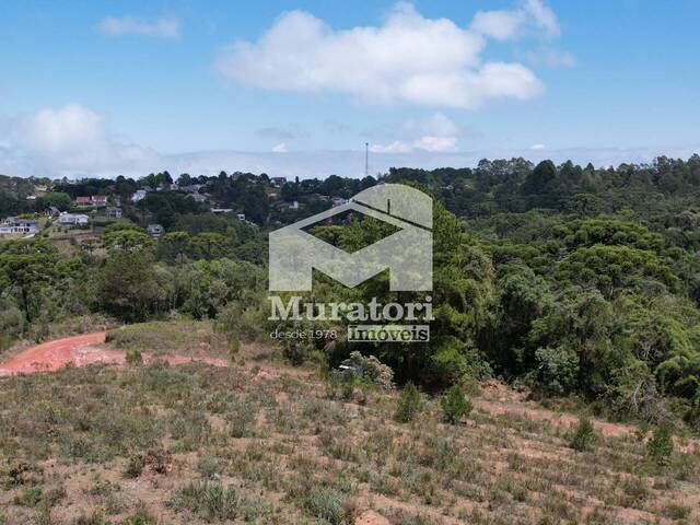 Área para Venda em Campos do Jordão - 5