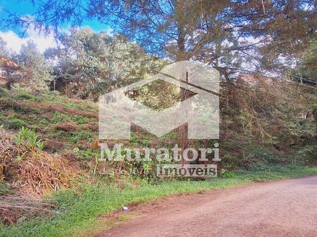 Área para Incorporação para Venda em Campos do Jordão - 4