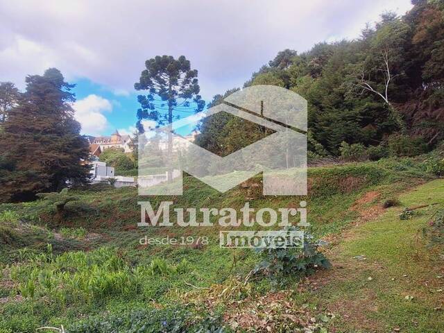 Área para Incorporação para Venda em Campos do Jordão - 5