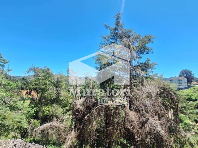 Terreno para Venda em Campos do Jordão - 5