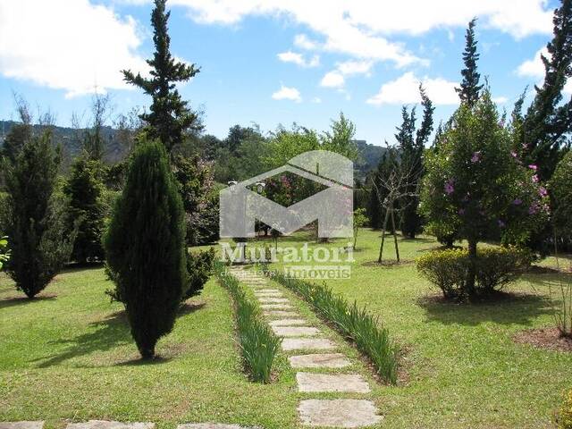 Terreno para Venda em Campos do Jordão - 5