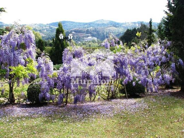 Terreno para Venda em Campos do Jordão - 4