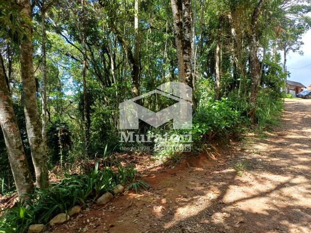 Casa para Venda em Campos do Jordão - 4