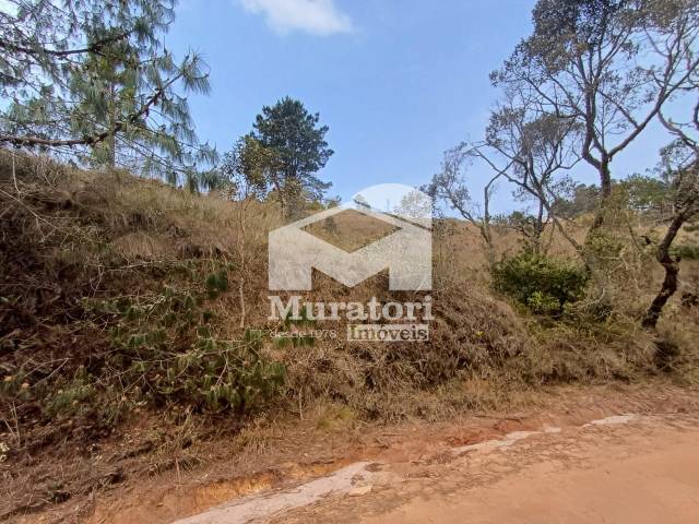 Terreno para Venda em Campos do Jordão - 4