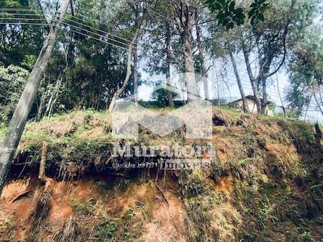 #2733 - Área para Venda em Campos do Jordão - SP