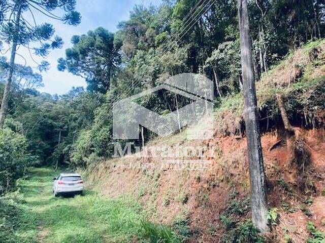 #2733 - Área para Venda em Campos do Jordão - SP