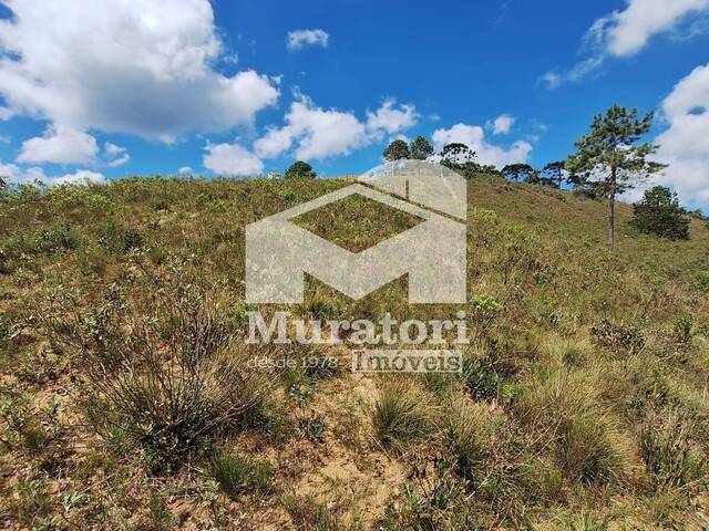 #1361 - Terreno para Venda em Campos do Jordão - SP