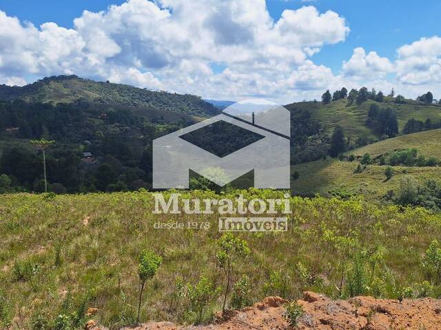 Terreno para Venda em Campos do Jordão - 4