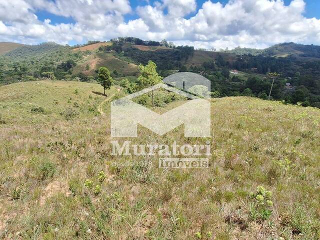 Terreno para Venda em Campos do Jordão - 5
