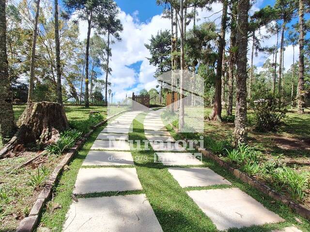 #2730 - Chácara para Venda em Campos do Jordão - SP