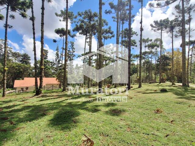 Chácara para Venda em Campos do Jordão - 4
