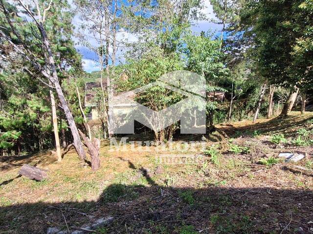 #1791 - Terreno para Venda em Campos do Jordão - SP