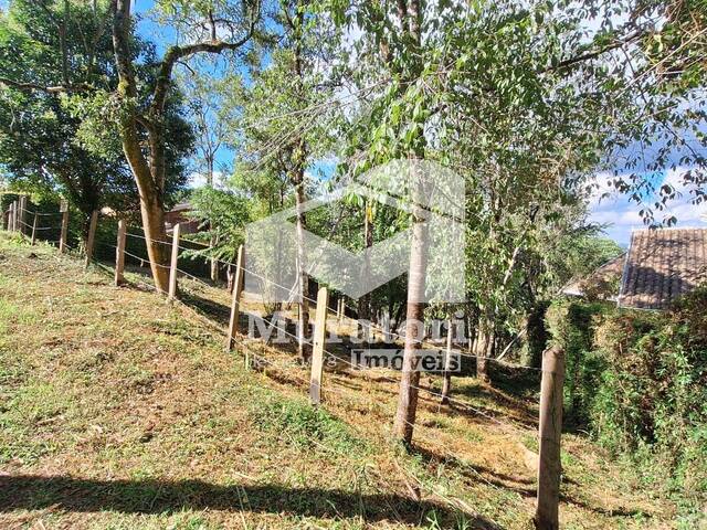 Terreno para Venda em Campos do Jordão - 4