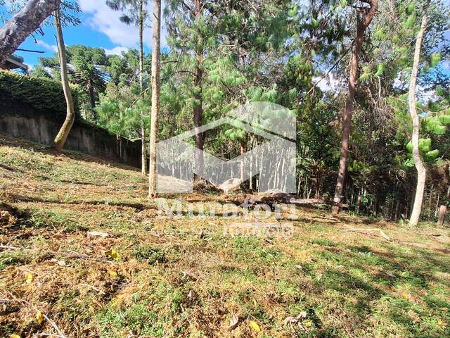 Terreno para Venda em Campos do Jordão - 5