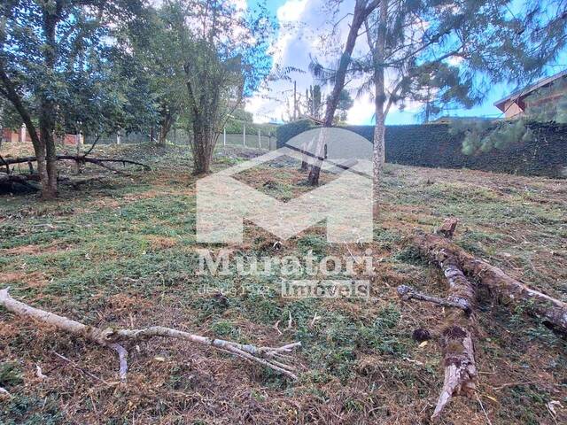 #1791 - Terreno para Venda em Campos do Jordão - SP