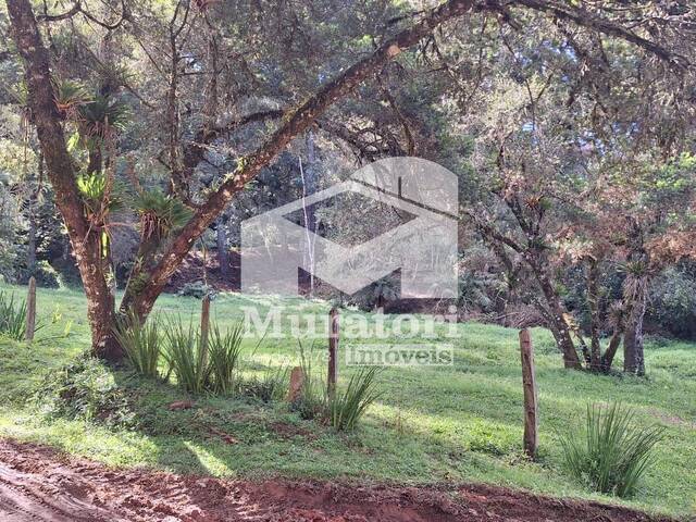 #2469 - Terreno para Venda em Campos do Jordão - SP