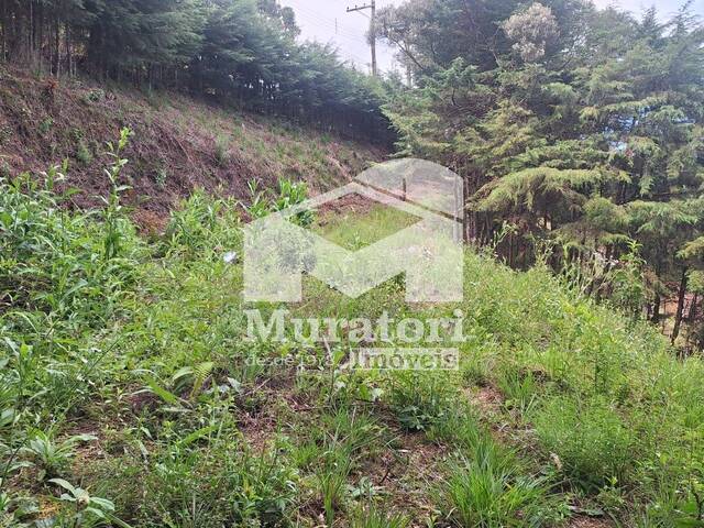 #2656 - Terreno em condomínio para Venda em Campos do Jordão - SP