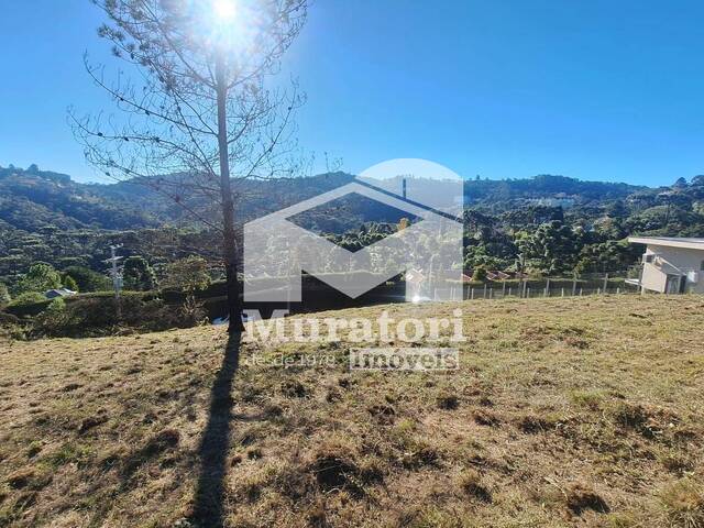Terreno para Venda em Campos do Jordão - 3
