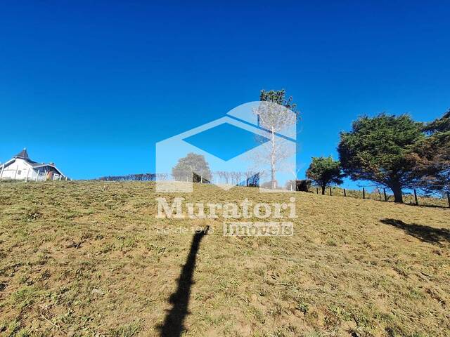 Terreno para Venda em Campos do Jordão - 4