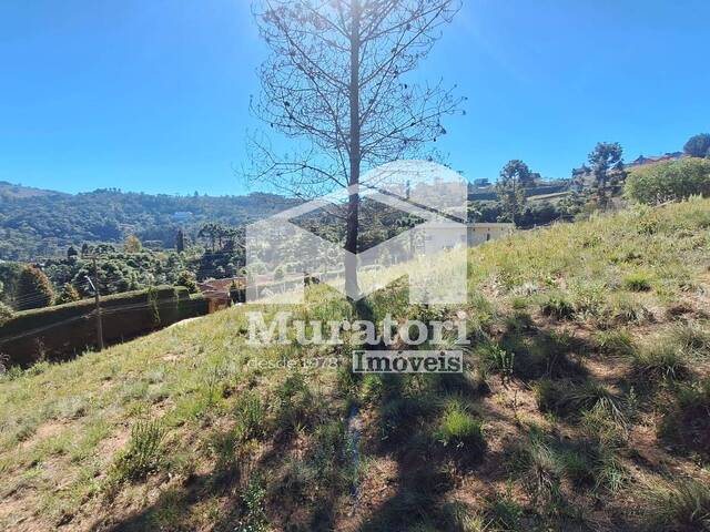 Terreno para Venda em Campos do Jordão - 2