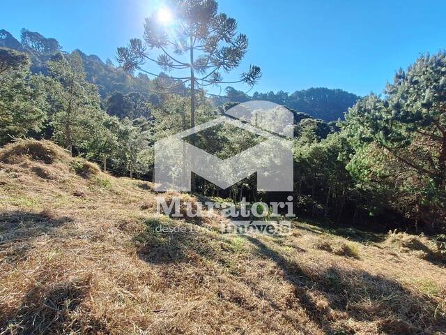 #2781 - Área para Venda em Campos do Jordão - SP