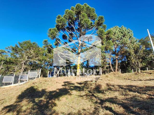 Área para Venda em Campos do Jordão - 4