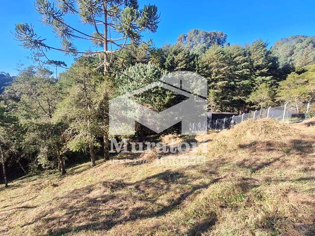 Área para Venda em Campos do Jordão - 5
